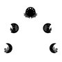 Wallity The Phases Of The Moon